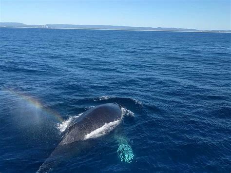 GOLD COAST ADVENTURES (2025) All You Need to Know BEFORE You Go (with ...