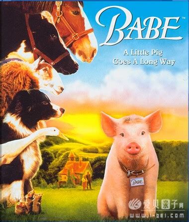 电影：Babe, the Gallant Pig 小猪宝贝1(1995) 高清 中英字幕 - 爱贝亲子网