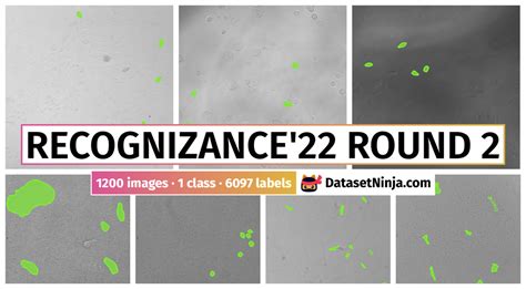 Recognizance'22 Round 2 - Dataset Ninja