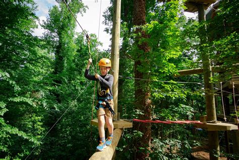 Flying Rabbit Adventures | Aerial Adventure Park | Book Now!