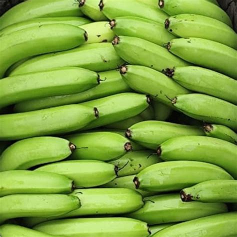 Manihar Fruit Company-Best Cavendish Banana Suppliers in uttar pradesh ...