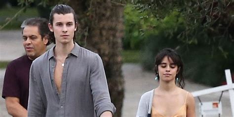 Camila Cabello and Shawn Mendes Got Dressed Up to Walk Their Dog ...