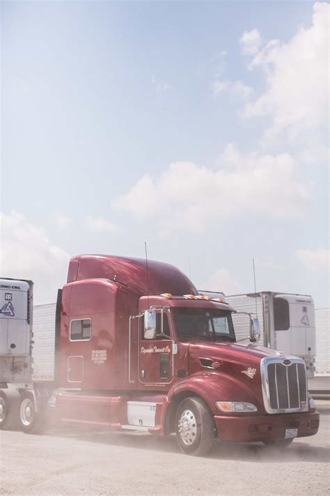 Image result for Dynamic Transit