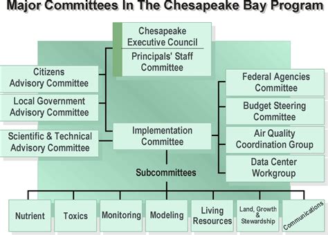 Local Government Structure Chart 的图像结果