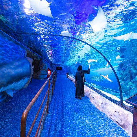 DUBAI AQUARIUM & UNDERWATER ZOO (2025) All You Need to Know BEFORE You ...