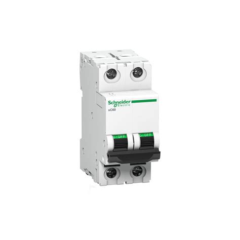 Schneider MCB 6A DP C-Curve ACTI9 10kA Miniature Circuit-Breaker, DIN ...