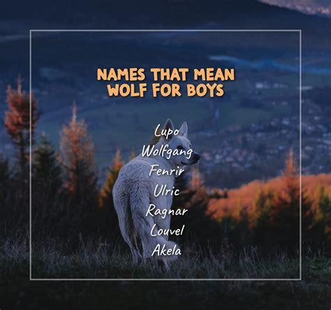 90+ Unique Names That Mean Wolf: Meaning and Origins Explained ...