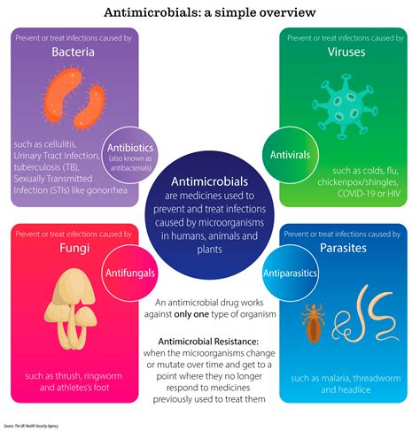 Image result for Antimicrobial Examples