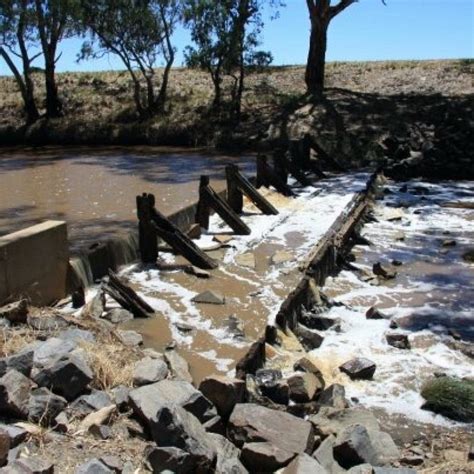 YAWONG WEIR (2026) All You Need to Know BEFORE You Go (with Photos ...
