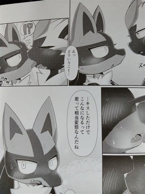 Doujinshi POKEMON Zeraora x Lucario (B5 102pages) | Ubuy India