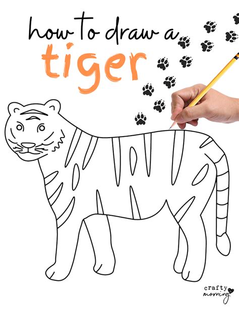 Image result for Tiger Drawing Easy