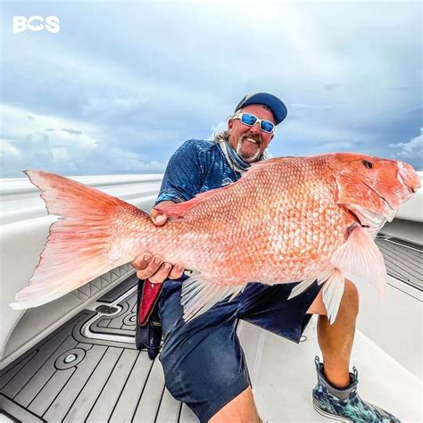 Ten tips and tricks for red snapper season in Texas – Surfside Marina ...