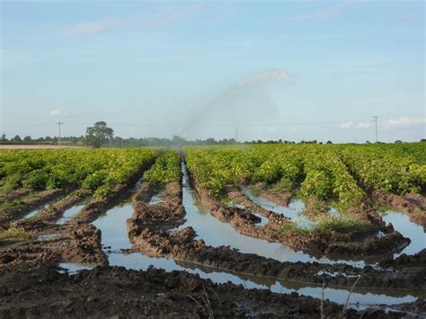 Irrigation Backflow Device Testing 的图像结果
