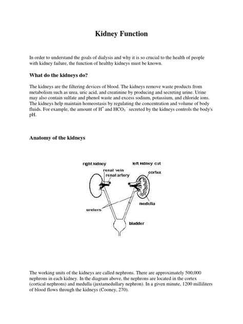 Kidney Function 的图像结果