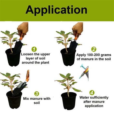 Premium Bio Compost Fertilizer (2 kg) for Flowers like Jasmine, Rose ...