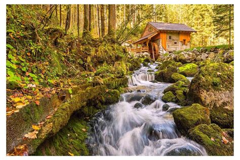 Go Green Tale Nature Wall Poster|Waterfall with Tress Poster|Interior ...