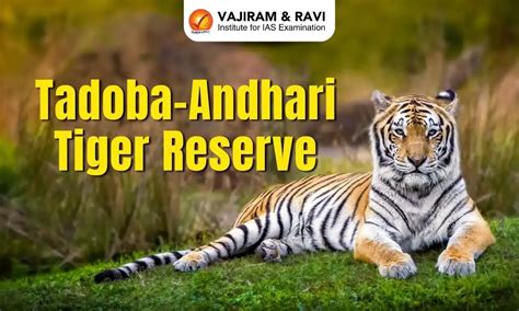 Tadoba-Andhari Tiger Reserve, Location, Drainage, Flora, Fauna, Latest News