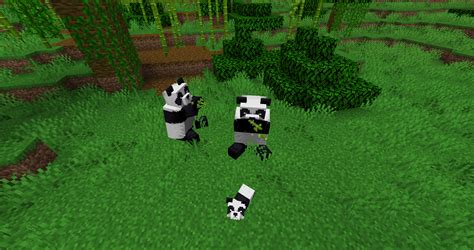 Command to Be Animal Minecraft Java 的图像结果