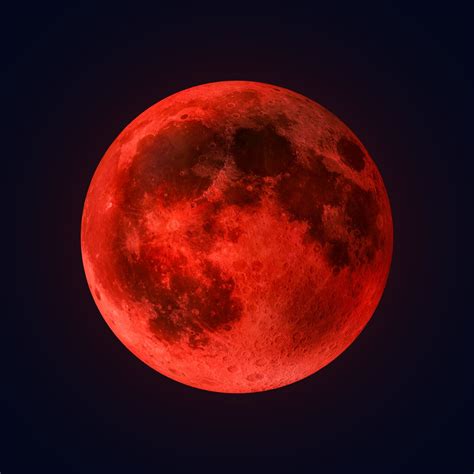 Zodiac Signs News | Latest Zodiac Signs Updates, Stories & Photos ...