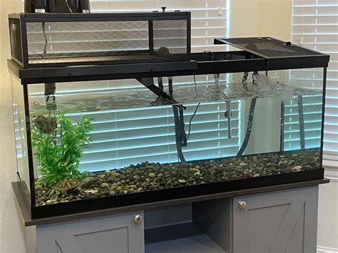 448 best r/redearedsliders images on Pholder | Is this neglect?