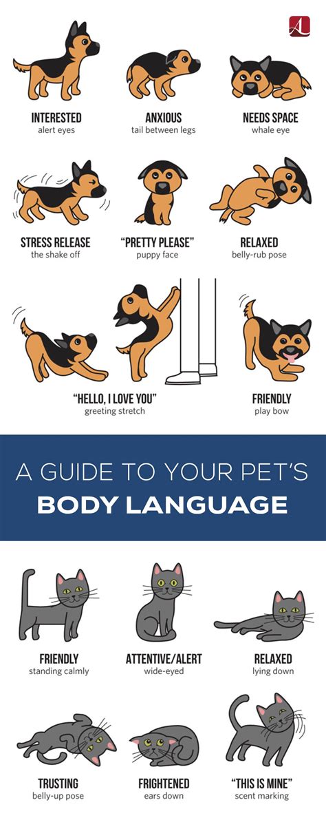Dog Body Language Chart