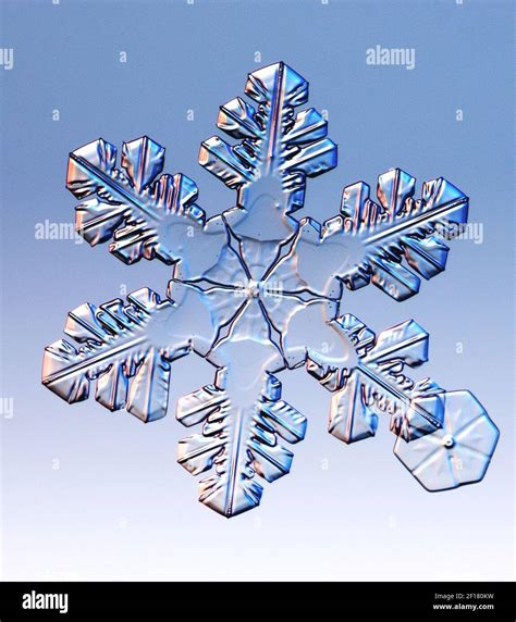 Dendrites Snowflakes