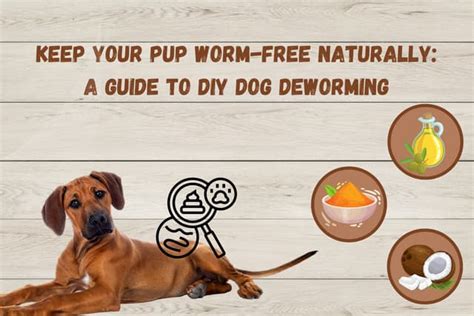 De Worming Dogs Naturally 的图像结果