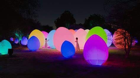 Image result for TeamLab Underware