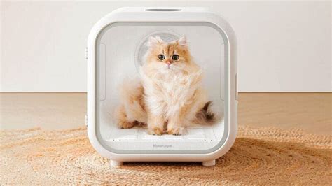 360-Degree Pet Dryers : Homerunpet Drybo Plus