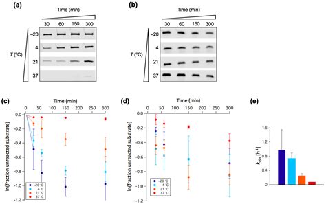 Prebiotic Factors Influencing the Activity of a Ligase Ribozyme