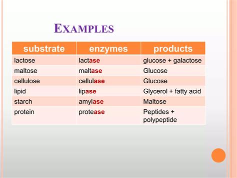 Enzymes | PPTX