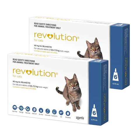 Revolution Plus Vs Advantage Ii For Cats