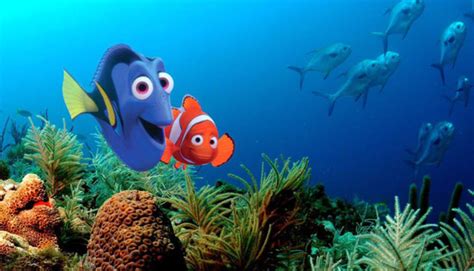 Image result for Finding Nemo Home