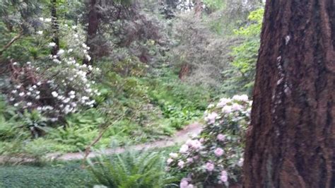 Washington Park Arboretum (Seattle) - 2021 What to Know Before You Go ...