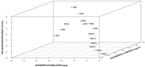 Three-Dimensional Analysis of the Impact of Different Concentrations of ...