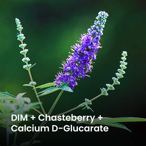 FIBROIDS SUPPLEMENT BUNDLE - Miduty