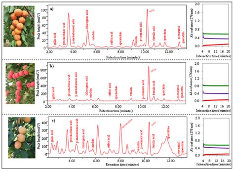 Content of Phenolic Compounds and Antioxidant Capacity in Fruits of ...