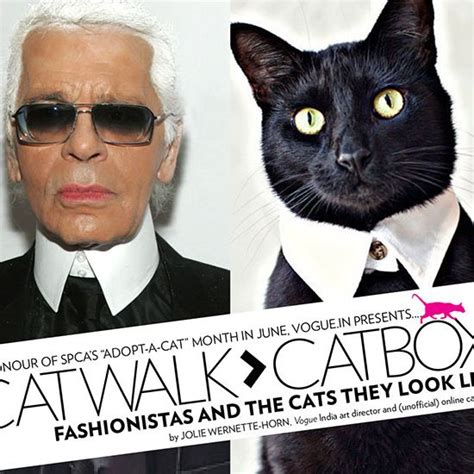 Catwalk to catbox: Fashionistas and the felines they look like | Vogue ...