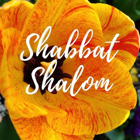 Shabbat shalom greeting cards boho floral watercolor theme 10 free ...