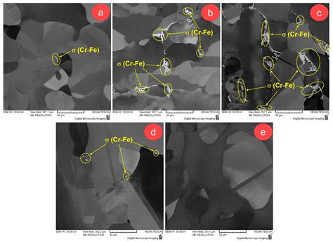 Influence of Solution Treatment Temperature on Microstructural ...
