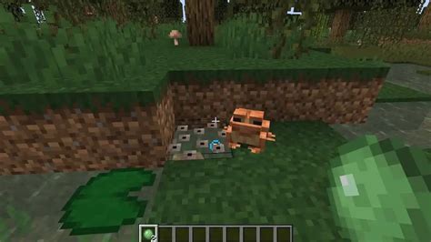 Command to Be Animal Minecraft Java 的图像结果