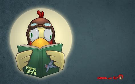 Chickens Can't Fly - Desktop Wallpapers, Phone Wallpaper, PFP, Gifs ...