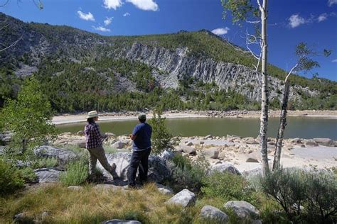 Image result for Transpose Convolution