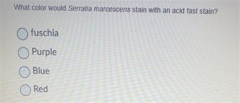 Solved: What color would Serratia marcescens stain with an acid fast ...