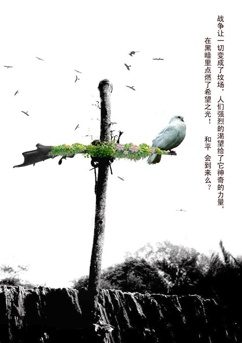 和平|平面|海报|xinhua大华 - 原创作品 - 站酷 (ZCOOL)