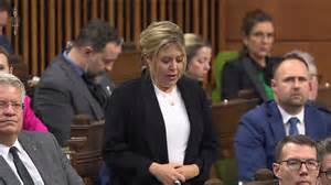 Immigration consequences should not affect criminal sentences ...