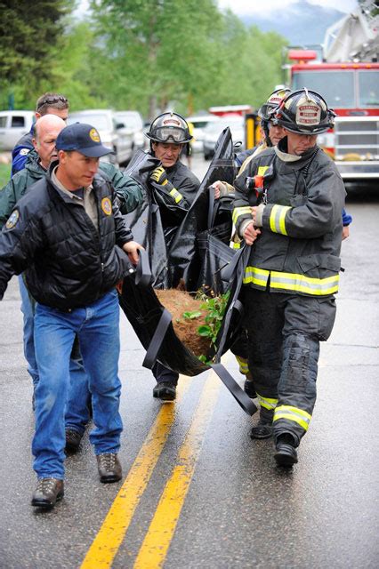 Image result for Bears Falling From Cliffs