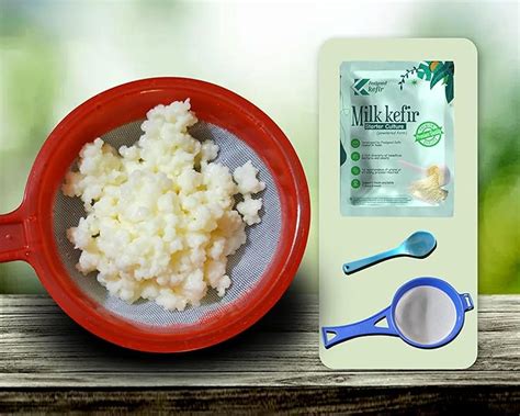 Feelgood Kefir - Live Large Sized Russian Origin Milk Kefir Grains (15 ...