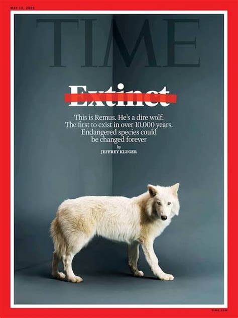 Un loup préhistorique ramené à la vie ? Faux