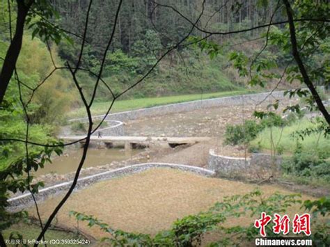 “最美银川人”承包20亩水塘种莲藕_大众网